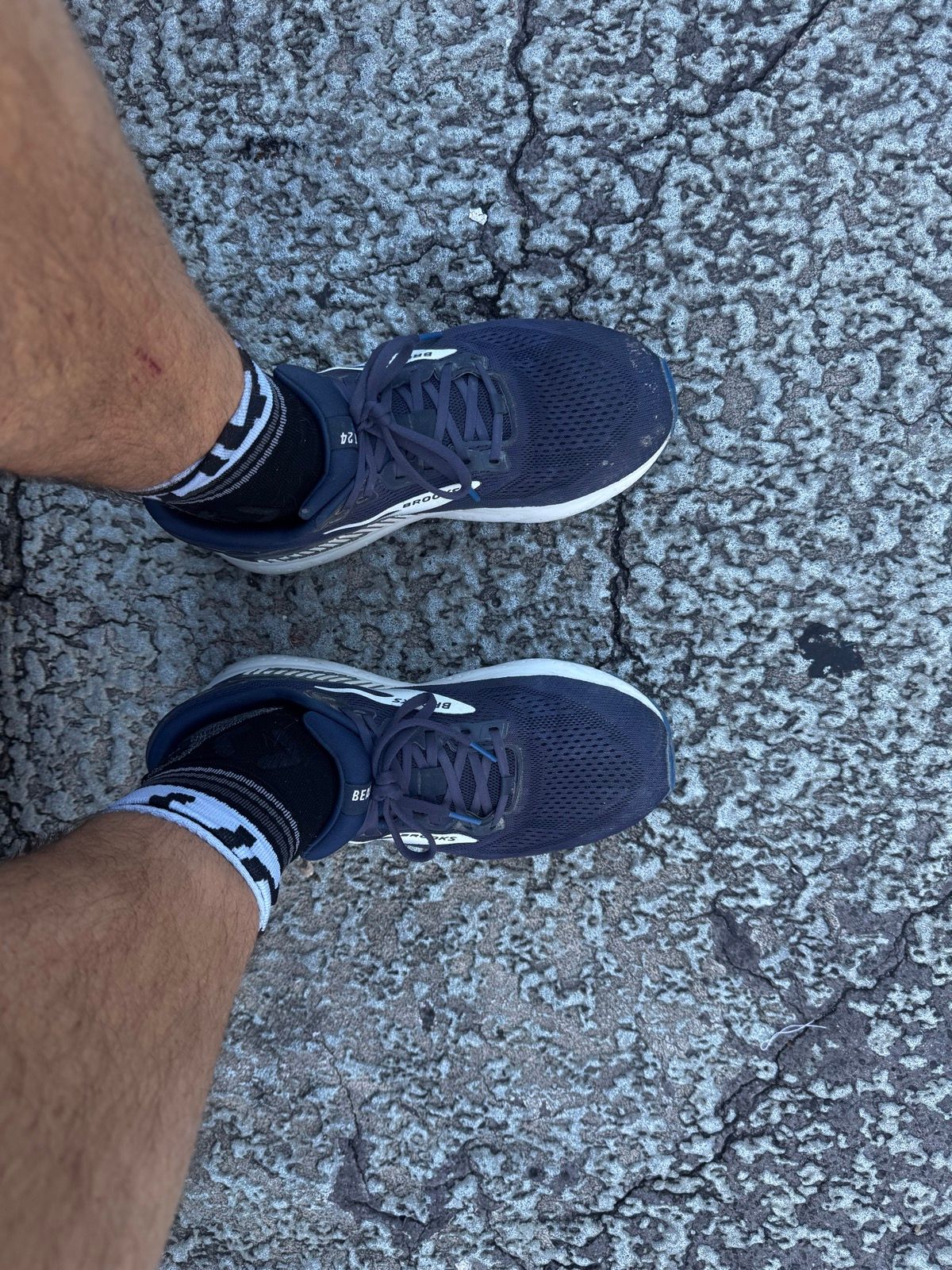Laufbild
